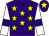 Purple, yellow stars, white sleeves, purple armlets, purple cap, yellow star (Northern Lights Racing)