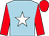 Light blue, white star, red sleeves and cap (Geoffrey Deacon Racing Crew)
