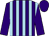 Purple and light blue stripes, purple sleeves and cap (The Q Party)