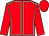 Red, beige seams, red sleeves and cap (Eden Racing Club)
