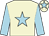 Beige, light blue star, sleeves and star on cap (Mr W J A Nash)