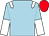 Light blue, white epaulets, halved sleeves, red cap (Foxtrot Racing Beholden)