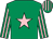 Emerald green, pink star, striped sleeves and cap (Gary And Linnet Woodward)