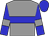 Grey body, big-blue hoop, big-blue arms, grey armlets, big-blue cap (Bloke Europeo Mobiliario)