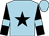 Light blue, black star, black sleeves, light blue armlets (The Abergavenny Arms Sporting Club)