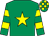 Emerald green, yellow star, hooped sleeves, check cap (Tohali Partnership)