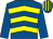 Royal blue & yellow chevrons, royal blue sleeves, striped cap (Noel O'Reilly)