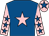 Royal blue, pink star, pink sleeves, royal blue stars, pink cap, royal blue star (Mr J Perriss)