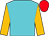 Underwriter