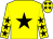 Amerilis