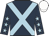 Ambassador