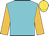 Underwriter