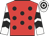 Adelaide Bay