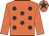 Maryland Star