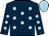 Count Palatine